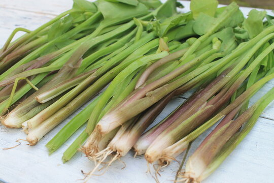 A bunch of genjer vegetables on the table