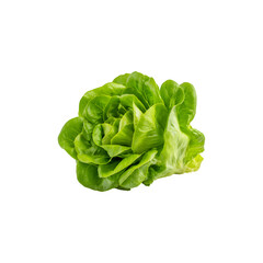 Fresh green butterhead lettuce, showcasing its vibrant color and crisp texture
