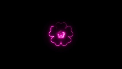 Colorful neon flower display on black background