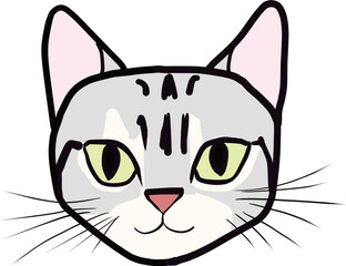 アメリカンショートヘアー