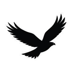 Hawk soaring with wings spread bird vector silhouette design