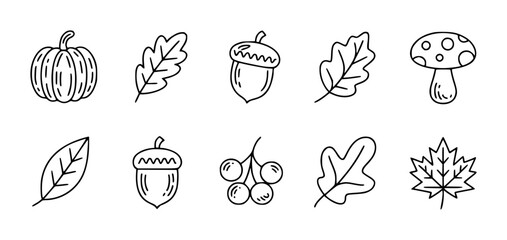 Autumn themed hand-drawn icons of pumpkin acorn leaves and mushroom fall season