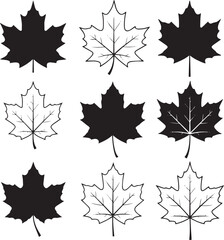 Set of maple leaf silhouettes and outlines in various styles, perfect for seasonal, botanical, or decorative design projects.
