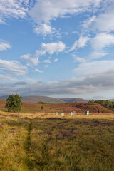 Wooden Bee Hives set on the moorland of Glen Esk close to the remote Village of Tarfside with the...
