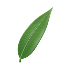 A single, vibrant green leaf with a smooth texture and prominent central vein, isolated on a clean white background.