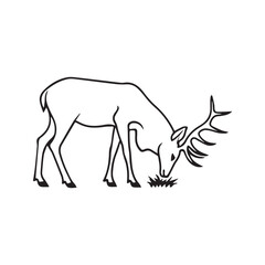 Simple outline drawing of a grazing stag with large antlers, isolated vector line art illustration.

