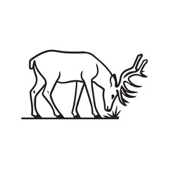 Simple outline drawing of a grazing stag with large antlers, isolated vector line art illustration.
