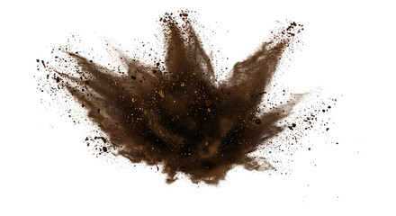 Close up of a spiky seed pod exploding with detailed texture isolated on transparent background