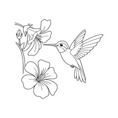 Cute hummingbird and hibiscus flowers coloring page, isolated black and white line art illustration.
