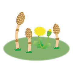 春の訪れ　つくし