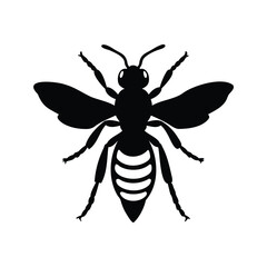 Fototapeta premium Striking silhouette of a bee or wasp with clear abdominal markings, insect bee silhouette vector illustration