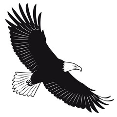eagle vector illustration