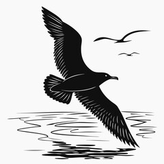 black headed gull