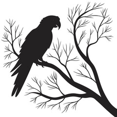 bird on branch