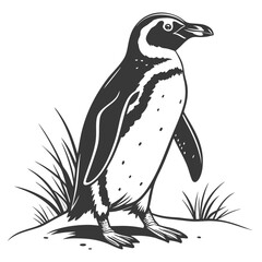 penguin on a rock