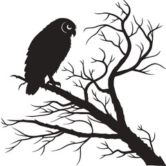 owl on branch