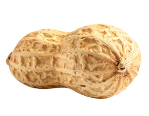 Obraz premium Isolated Macro Photo of a Single Peanut on White Background