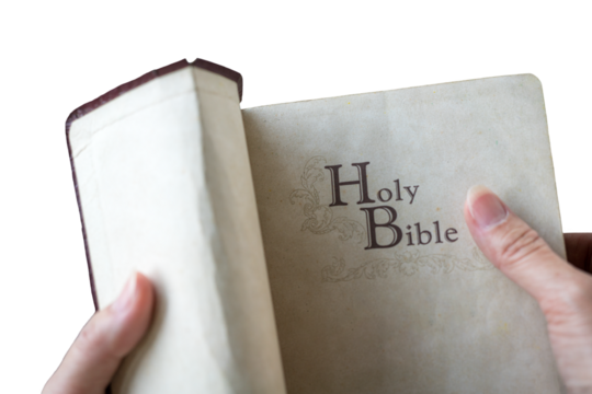 Hands holding an open Holy Bible. Isolated on transparent background.