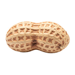 Fresh Peanut on White Background
