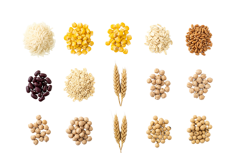 Various Grains and Seeds on White Background