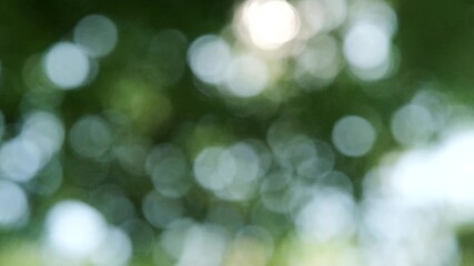 夏の太陽の暑く強い日差し　木々の葉から差し込むさわやかな木漏れ日の光とキラキラの輝く明るい丸ボケと光芒　アウトドア・夏休み・日焼け・バカンス・旅行・洗濯のイメージ背景　