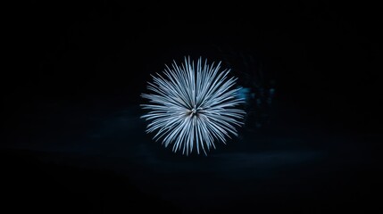 Ethereal burst Delicate white firework bloom unfolds against a stark black night sky, emitting soft wisps of smoke