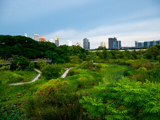 Obraz premium Bangkok, Thailand - August 03, 2025 : Urban Nature Scene at Benchakitti Forest Public Park with People in Bangkok.