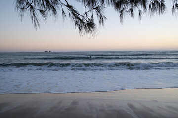 Surfers riding waves at sunrise on a beach with pine tree branches