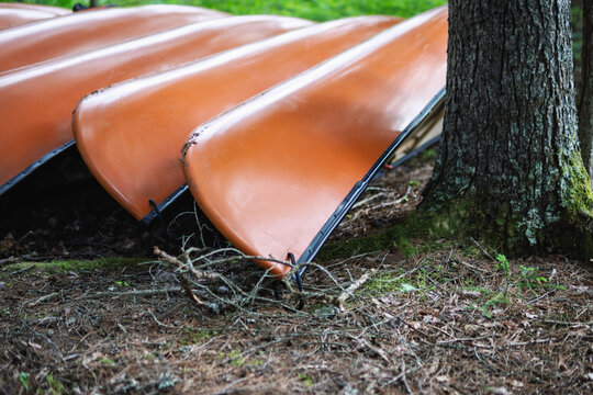 Orange canoes turned over on forest floor at backcountry campsit