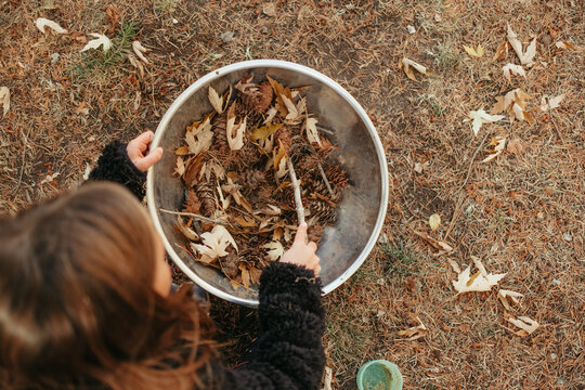 Preschooler exploring nature collecting autumn leaves and pine cones