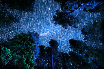 Sequoia National Park Star Trails of Milky Way Galaxy Looking Up Forest Astrophotography in...