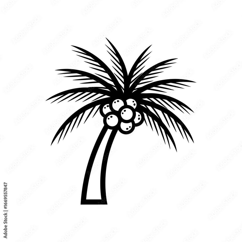 Poster a black and white vector illustration of a palm tree with coconuts on a white background image view