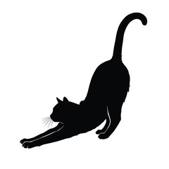 Black cat stretching and arching its back in a playful pose