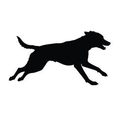 A black dog running with its mouth open and tail extended freely outside