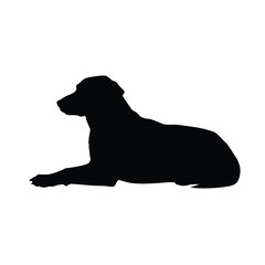 Black silhouette of a dog lying down on a white background