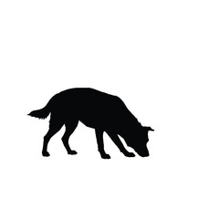 a black silhouette of a dog sniffing the ground on white background