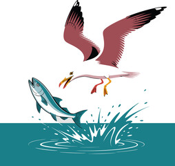 Cartoon Seagull Flying Above a Jumping Fish Splashing in Teal Water Illustration