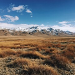 Golden field stretching toward snow-capped mountains under a partly cloudy blue sky, creating a vast, open landscape
