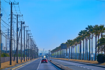 千葉県袖ケ浦市の袖ヶ浦海岸にあるヤシの木(千葉フォルニア)と電柱を袖ケ浦海浜公園から見る