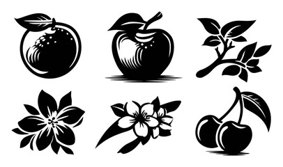 Black and White Illustrations of Fruits, Flowers, and Nature Elements