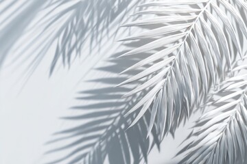 Painted palm leaves cast serene shadows on a stark white surface, creating a minimalist, airy atmosphere