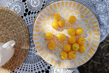 Yellow plums on orange and white patterned plate with lace tablecloth in natural light