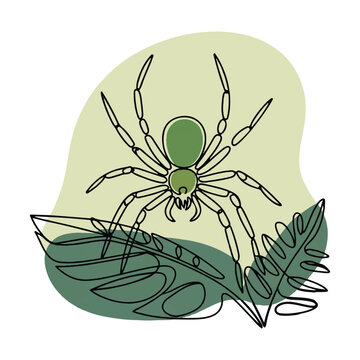 green spider line art on leaf clip art preview