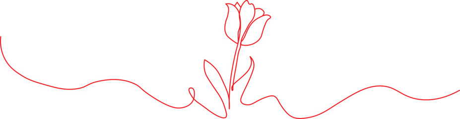 Tulip one line drawing.Abstract flower continuous line. Minimalist contour drawing of tulip. Continuous line drawing of flower tulip. Hand drawn sketch of flower with leaves. for web design.