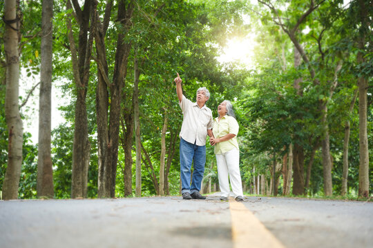 Happy senior couple enjoying a walk and nature, Asian seniors on a discovery walk in the woods, Elderly couple pointing up in a park