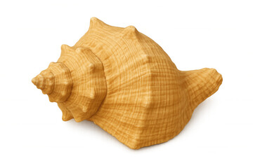Close-up of a large, textured conch shell, isolated on a transparent background, perfect for design projects related to the ocean, beach, or marine life