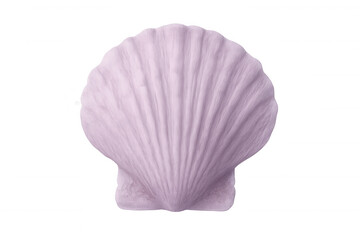 Studio shot of a purple scallop shell on a transparent background, highlighting its delicate ridges and natural beauty