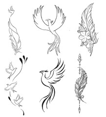 phonix and feahter illustrations design for templates.