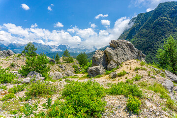 Coniferous trees and bushes. Huge stones and rocks. Snowy mountain range, blue sky with clouds in the background.