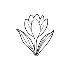 Elegant black and white line drawing of a single flower blossom and leaves Silhouette vector